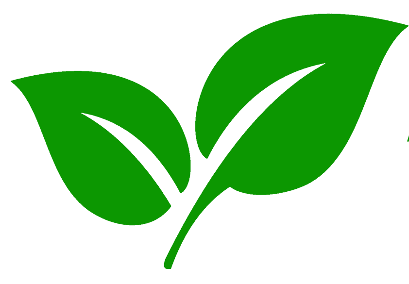 an logo.pngsss an logo.pngsss